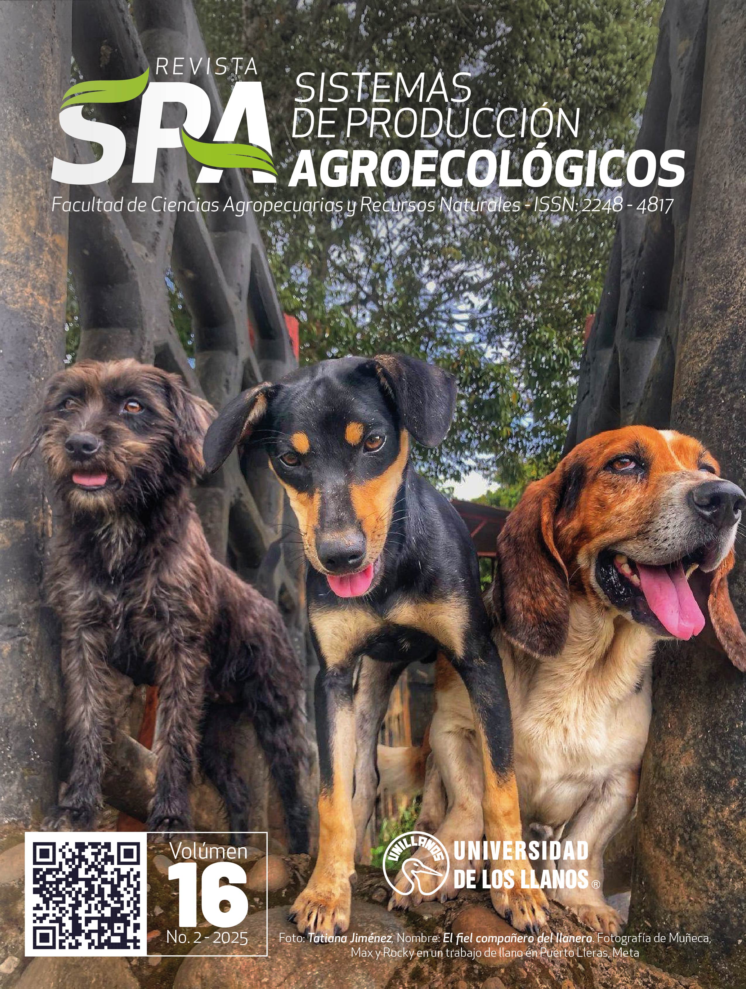 Foto: Tatiana Jiménez. Nombre: El fiel compañero del llanero. Fotografía de Muñeca, Max y Rocky en un trabajo de llano en Puerto Lleras, Meta.